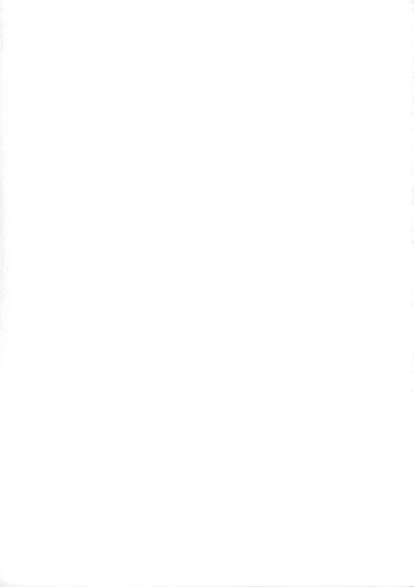 Meliodas ensinando Elizabeth a arte de dar a buceta em HQ Brasileiro